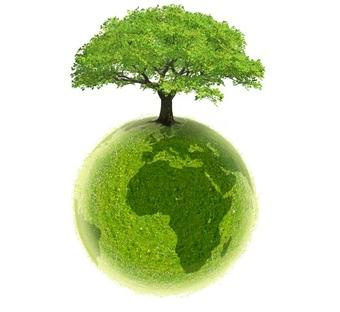 22 de Dezembro - Dia da Consciência Ecológica 22 de Dezembro - Dia da Consciência Ecológica
