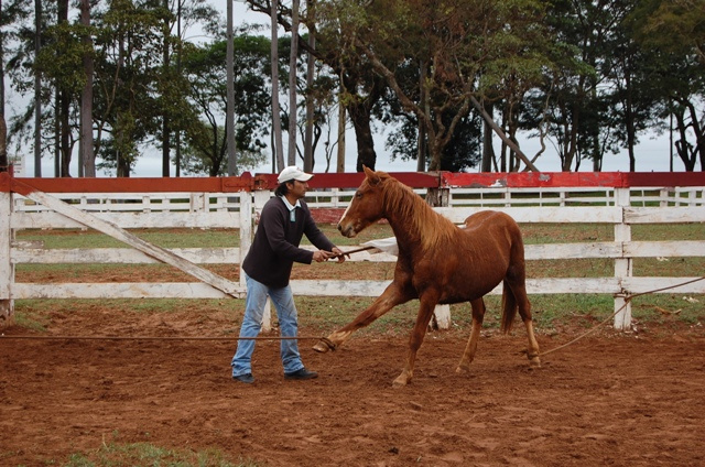 Foto de um dos cursos oferecidos pelo Sindicato Rural de Amambai em parceria com o Senar.