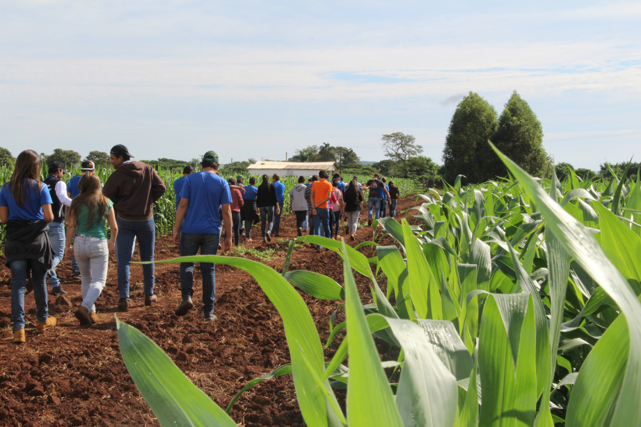 Alunos puderam conhecer o campo experimental da Coopersa / Foto: Assessoria