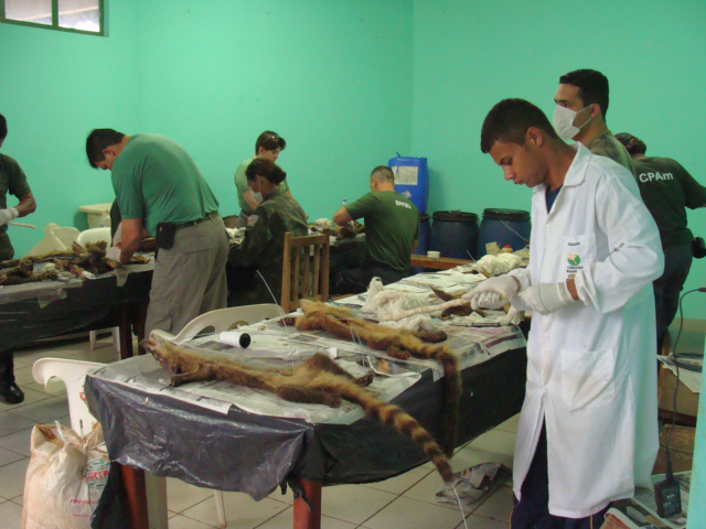 PMA ministra curso de taxidermia para alunos da UFGD em Dourados