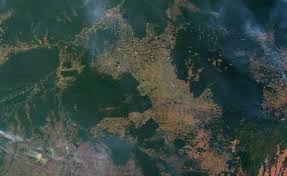 Brasil perdeu 2,5 Alemanhas em florestas em 34 anos Divulgação