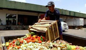 Mostra VerCiência exibe obras audiovisuais de oito países O programa Caminhos da Reportagem, da TV Brasil, aborda o desperdício na cadeia de produção de alimentos TV Brasil/ Divulgação