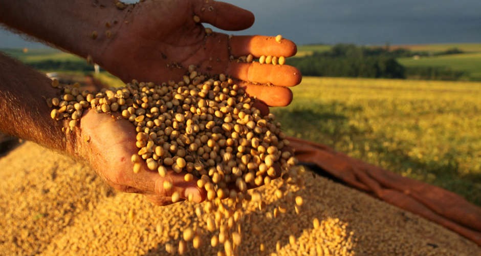 Safra de cereais, leguminosas e oleaginosas registra 238,4 milhões de toneladas Safra de cereais, leguminosas e oleaginosas registra 238,4 milhões de toneladas