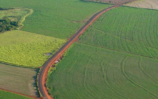Bom momento da agricultura regional inflaciona em 30% o valor da terra Bom momento da agricultura regional inflaciona em 30% o valor da terra