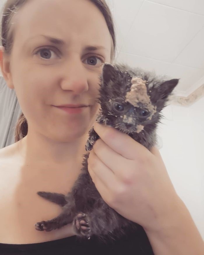 15 gatos que fizeram uma bagunça total ao comer (Fonte: Instagram - Jemma/Reprodução)