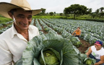 Agricultores familiares devem receber 1ª parcela do benefício do Garantia Safra