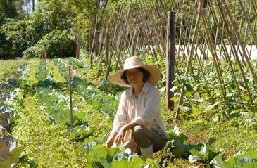 Pequenos agricultores receberão bônus para cultivar nove produtos Produtos estão no Programa de Garantia de Preços para a Agricultura FamiliarFoto: Divulgação