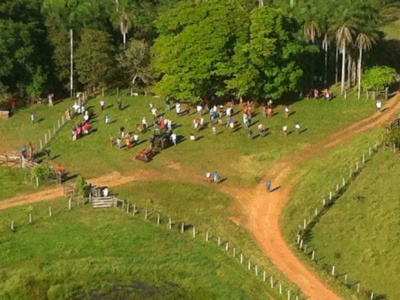 Imagens aéreas mostram que área ocupada em MS virou 'aldeia' / Foto: Alysson Maruyama/TV Morena