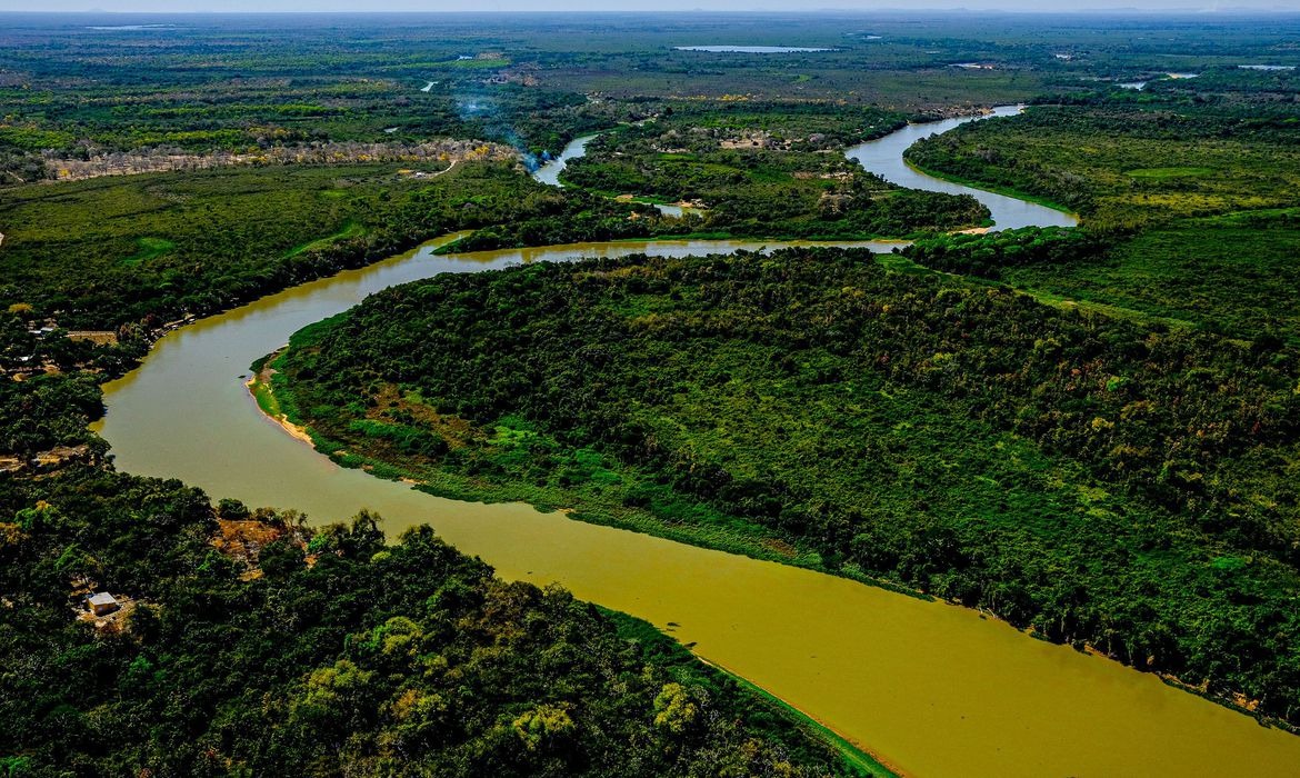 Perícia afirma que incêndio no Pantanal mato-grossense foi intencional Foto; Mayke Toscano/Secom-MT