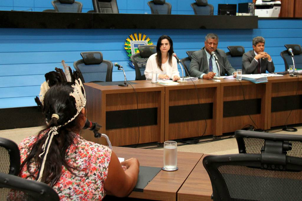 Deputados e pesquisadores discutem saídas para fim do conflito em MS Também foi ouvida nessa tarde a índia Terena Erciléia Souza Alves, da aldeia Mãe Terra, município de Miranda / Foto: Divulgação