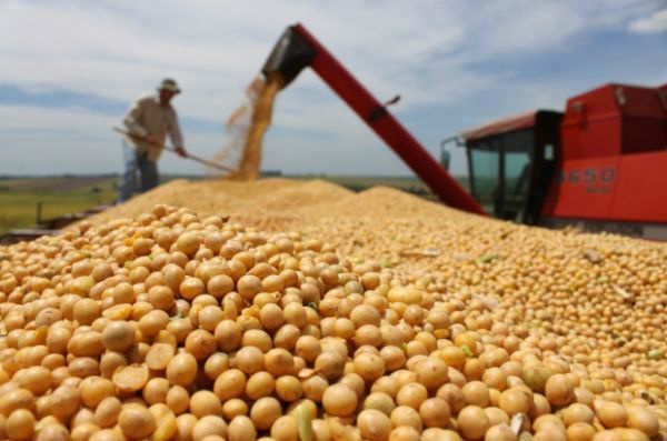 Produção agropecuária cresce 1% em 2015 e supera R$ 473 bilhões