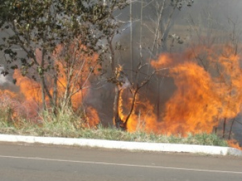 Fogo já havia sido extinto ontem e hoje recomeçou no mesmo ponto. Foto: Lucimar Couto