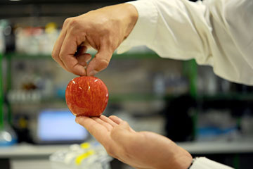 Revestimento com partículas nanotecnológicas, conserva melhor os alimentos