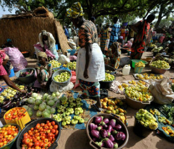 Alimentos contaminados podem provocar mais de 200 tipos de doenças, desde diarreia até o câncer / Foto: Divulgação