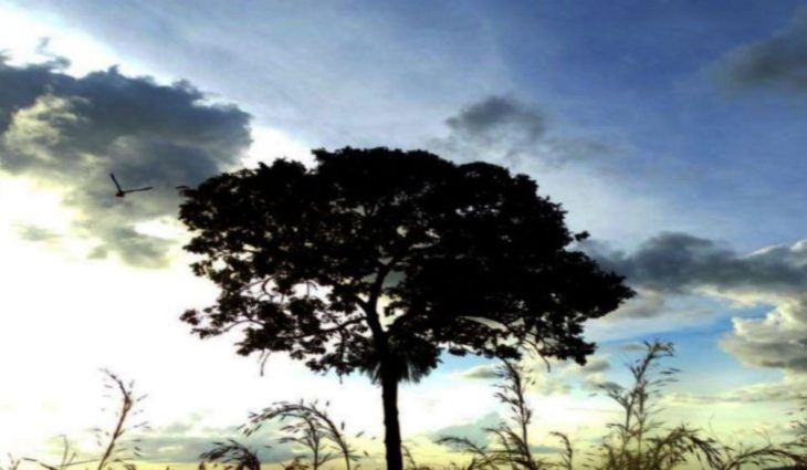 Terça-feira de sol entre nuvens e máxima de 35°C no Estado Foto: Mônica Alves