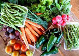 Escola Cel. Felipe de Brum realiza chamada pública para alimentação escolar