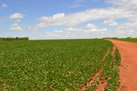  Técnicos fazem levantamento sobre uso e cobertura do solo em MS Foto: Assessoria de Imprensa Sistema Famasul 