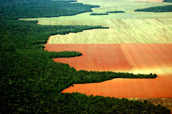 Medida provisória reduz áreas de proteção ambiental