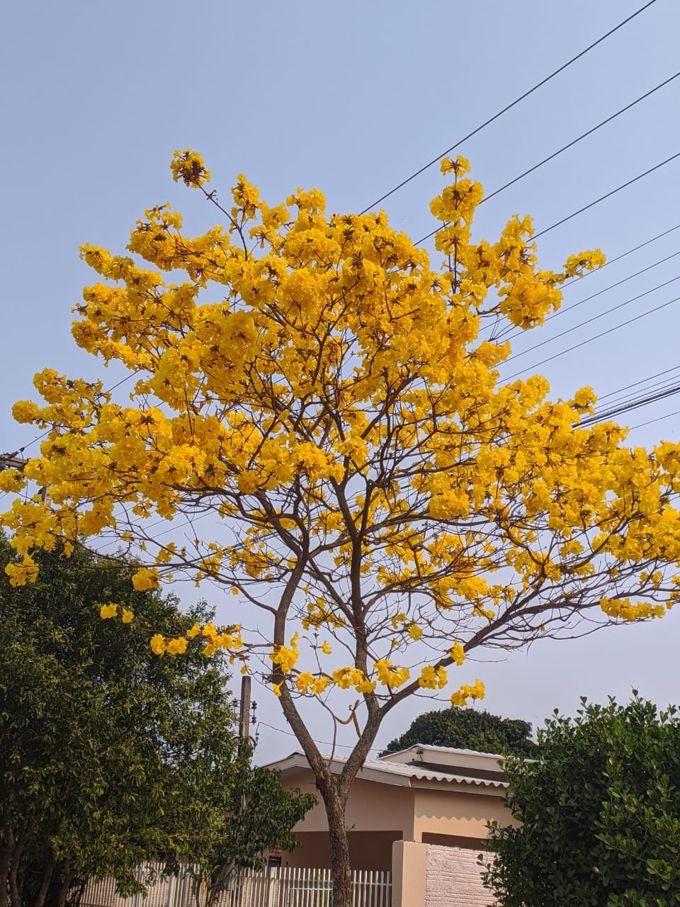 Foto: Moreira Produções