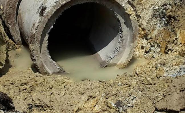 PMA autua comerciante por destruição de nascentes no perímetro urbano de Bonito