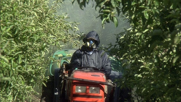 Os incentivos ao agronegócio resultam em destruição da biodiversidade e alimentos com veneno.  / EBC