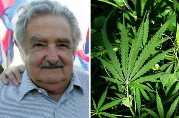 Agora é oficial: Uruguai vai estatizar a maconha
