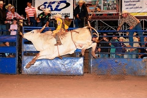 Abertura do rodeio em touros acontece hoje (5)