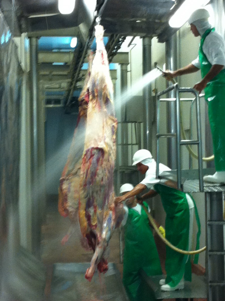 Mapa alerta para os perigos do consumo de carne sem fiscalização