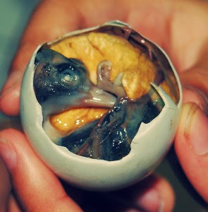 As comidas mais bizarras e nojentas do mundo As comidas mais bizarras e nojentas do mundo