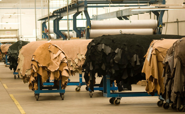 Exportação de couro cresceu 14,29% em julho