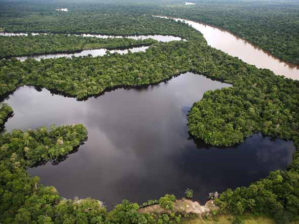 Documento foi elaborado por 20 cientistas laureados com o Blue Planet Prize