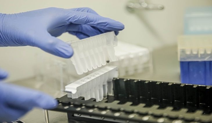 Foto: Andréa Barros (Fotos Públicas)