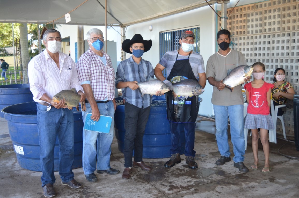 Teve início a 18ª Feira do Peixe em Amambai; preços variam de R$ 15 a R$ 30 o kg Piscicultores esperam vender de 4 a 6 toneladas de peixe nos três dias de feira / Foto: Moreira Produções