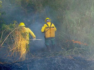 Em menos de um dia, Corumbá registra 70 novos focos de incêndio