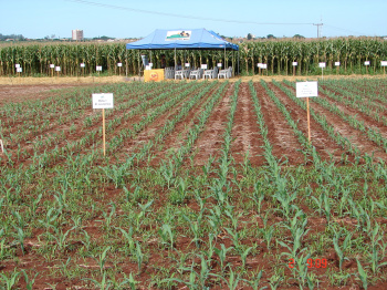 Showtec 2011 terá palestras com temas sobre gestão rural