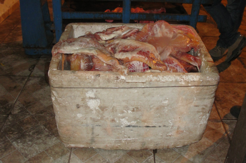 PMA, PF e PM de Corumbá prendem boliviano com 90 kg de filé pescado