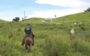 Turismo rural: projeto modifica tratamento tributário e previdenciário