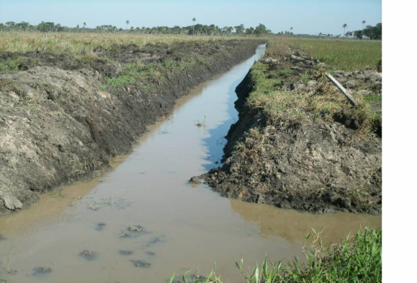 Fazendeiros são multados por danos em área de preservação ambiental