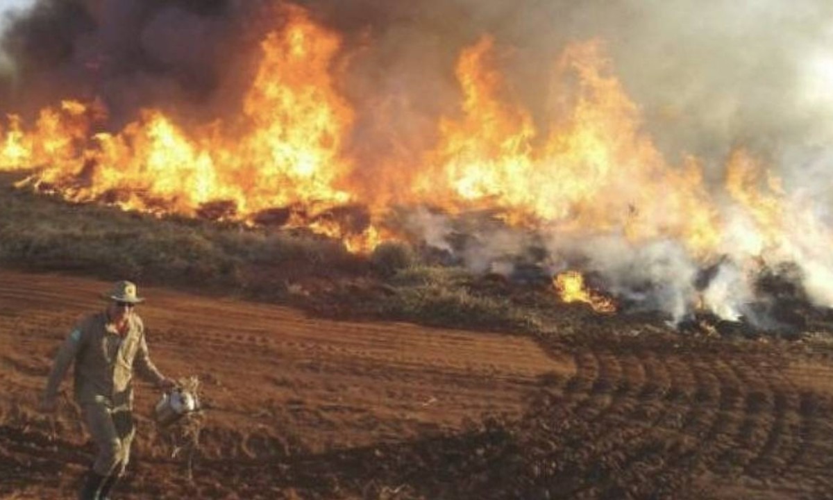 CHAMAS CONSOMEM QUILÔMETROS DE ÁREA DO PANTANAL (FOTO: CORPO DE BOMBEIROS MS)
