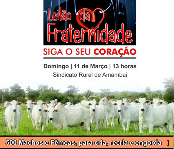 Igreja Matriz e Teixeira Mattos organizam 1º Leilão da Fraternidade Igreja Matriz e Teixeira Mattos organizam 1º Leilão da Fraternidade