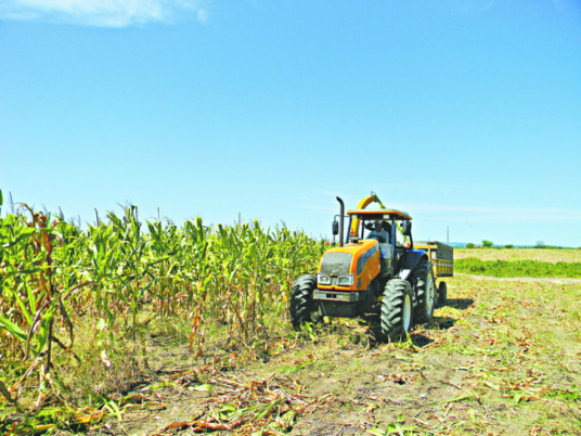 Recursos para custear a safra agrícola podem aumentar Foto: Divulgação