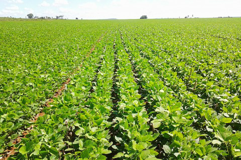 Foto: Assessoria de Imprensa Sistema Famasul