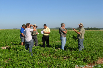 Rally vai monitorar produção