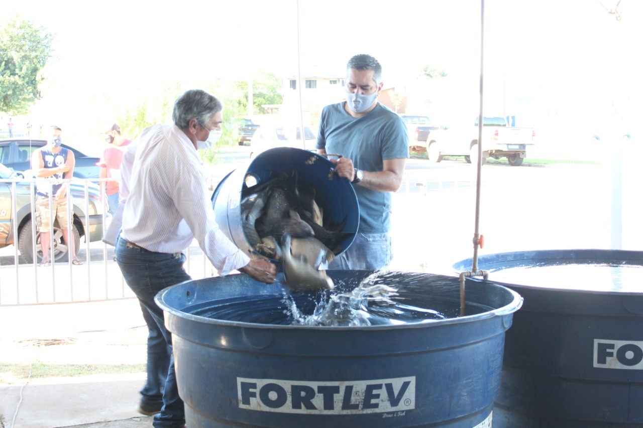 Teve início a 18ª Feira do Peixe em Amambai; preços variam de R$ 15 a R$ 30 o kg Teve início a 18ª Feira do Peixe em Amambai; preços variam de R$ 15 a R$ 30 o kg