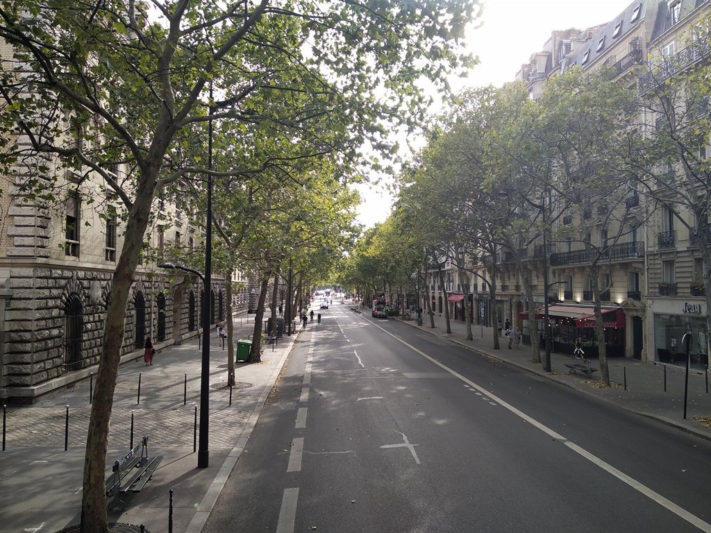 Avenidas largas e arborizadas são característica de Paris.