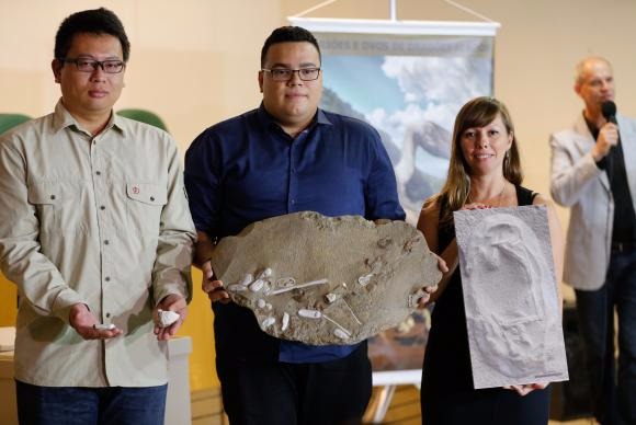Cientistas brasileiros revelam descoberta de ovos de pterossauros com embriões Pesquisadores brasileiros, em parceria com chineses, apresentam réplicas de descobertas de ovos e restos fossilizados de pterossaurosFernando Frazão/Agência Brasil