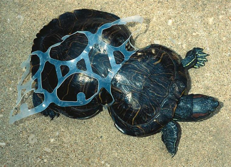 Estas fotografias mostram o fim do mundo. A número 2 é particularmente terrível