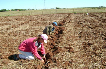 Incra prepara levantamento e retomada de lotes em 69 assentamentos do sul do Estado
