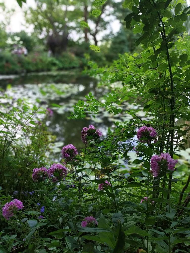 Le Jardin de Monet