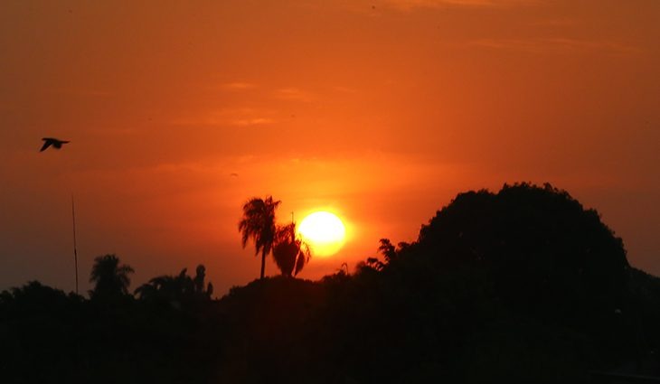 Foto: Edemir Rodrigues